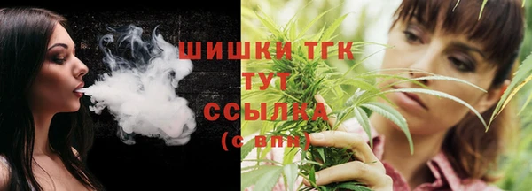 тгк Новодвинск