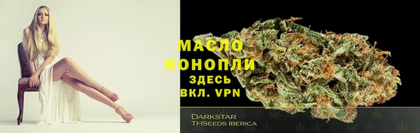тгк Новодвинск