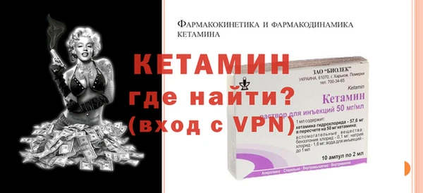 сатива Новозыбков