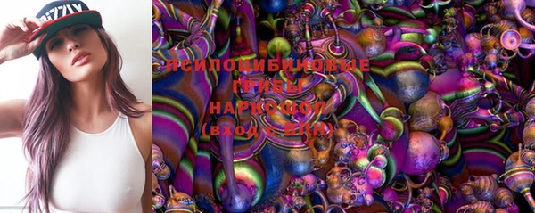 тгк Новодвинск