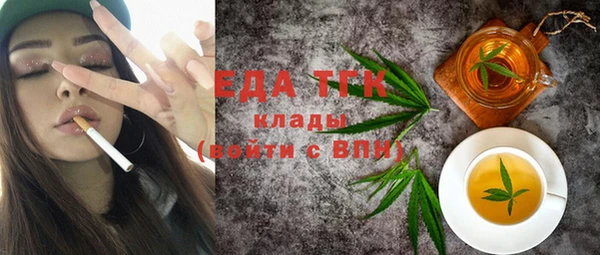 сатива Новозыбков