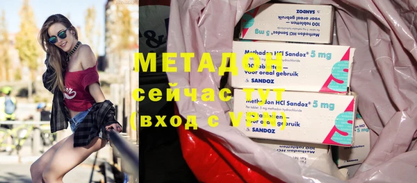 сатива Новозыбков