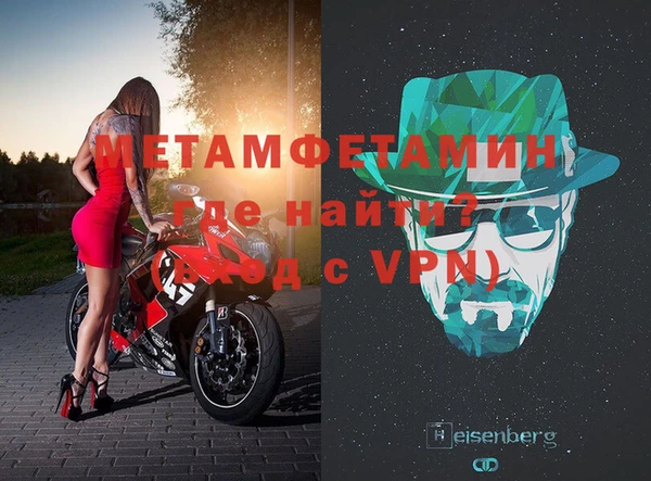 сатива Новозыбков