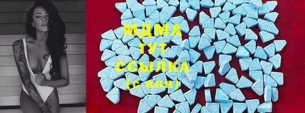 сатива Новозыбков