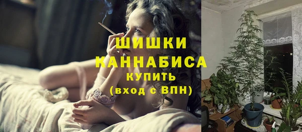 тгк Новодвинск