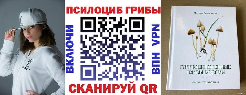 где купить наркотик  Кольчугино  Галлюциногенные грибы MAGIC MUSHROOMS 