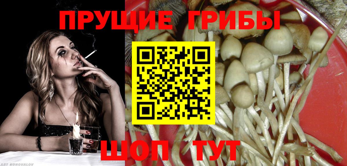 Кольчугино  Псилоцибиновые грибы GOLDEN TEACHER  Вход с VPN 