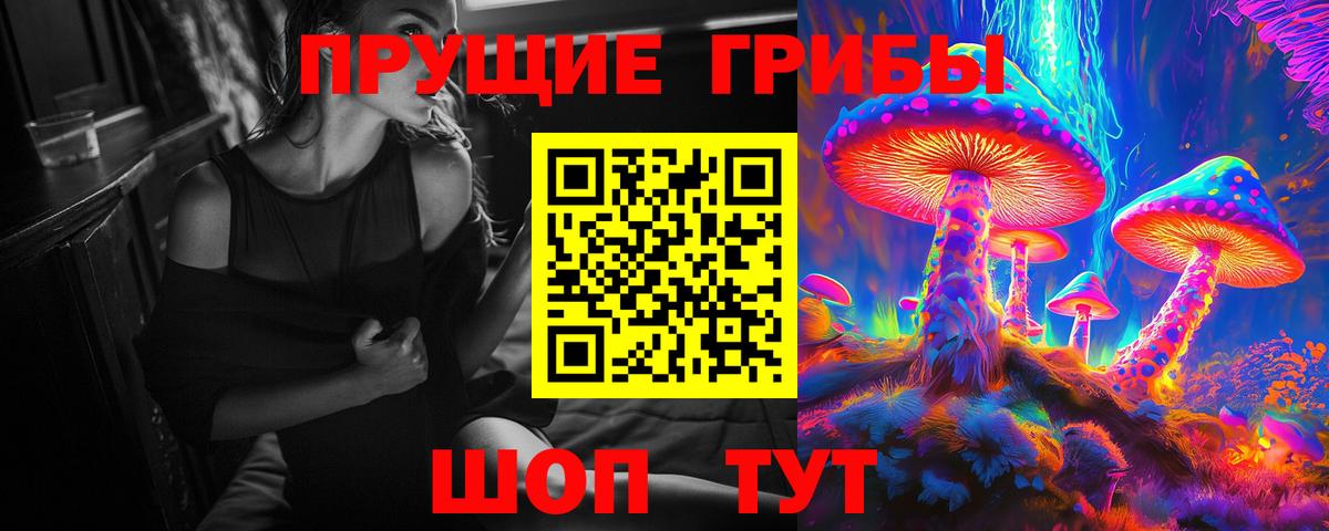 Псилоцибиновые грибы мицелий Кольчугино