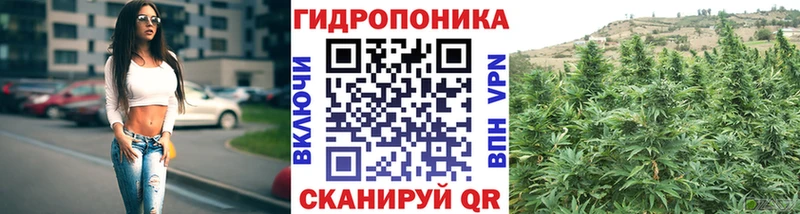 Каннабис конопля  Кольчугино 